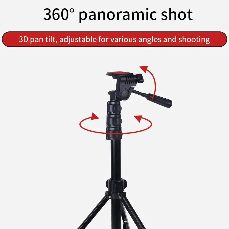  JMARY KP 2206