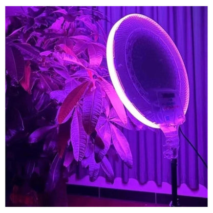 RGB LED CS-2600