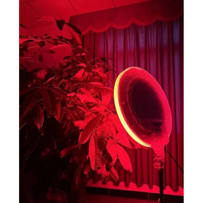 RGB LED CS-2600