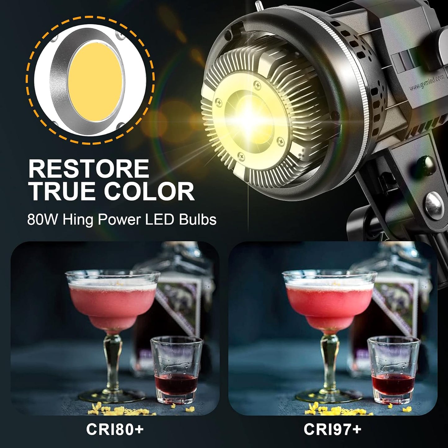 GVM LS P80S LED 2 LIGHT KIT WITH FILTERS