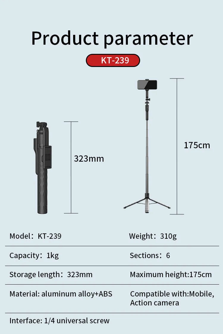  JMARY KT 239
