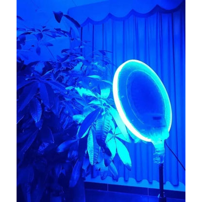 RGB LED CS-2600