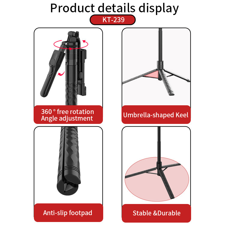  JMARY KT 239