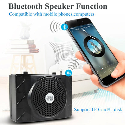 MINI PORTABLE PA SYSTEM